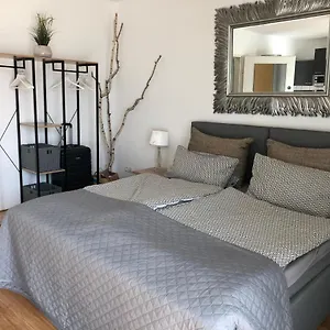 Sudermann Apartment Ludwigshafen am Rhein